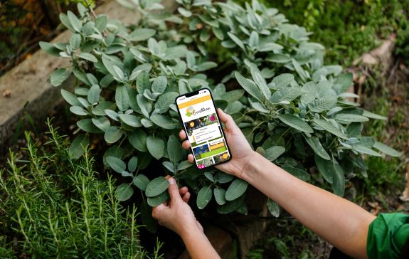 Enjoythesun makes its webshop more professional with LeadBot